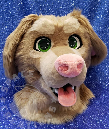 Bailey 2025